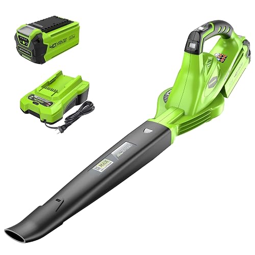 Greenworks 40V Cordless Leaf Blower, 135 CFM, 2.0 Ah Battery