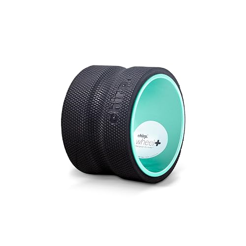 Chirp Wheel+ 6 Inch Back Roller
