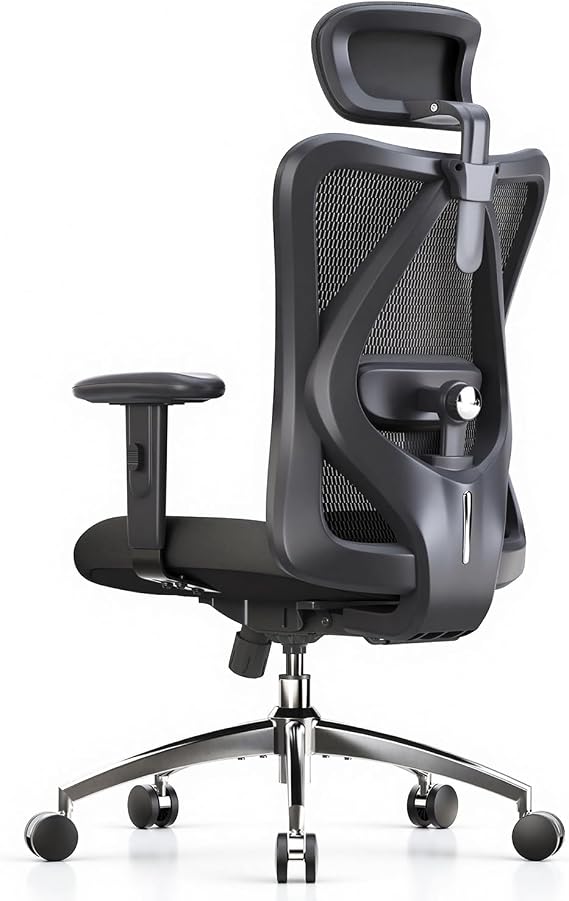 SIHOO M18 Ergonomic Mesh Office Chair