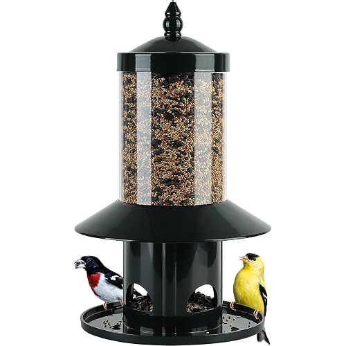 Squirrel-Proof Bird Feeder with 360 Perch