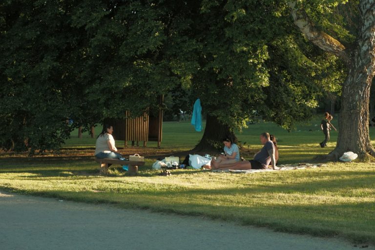Dry Side Down: Choosing a Picnic Blanket for Parks, Beaches, and Fireworks