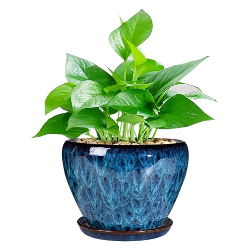 Glazed Ceramic Succulent Planter 6 Inch