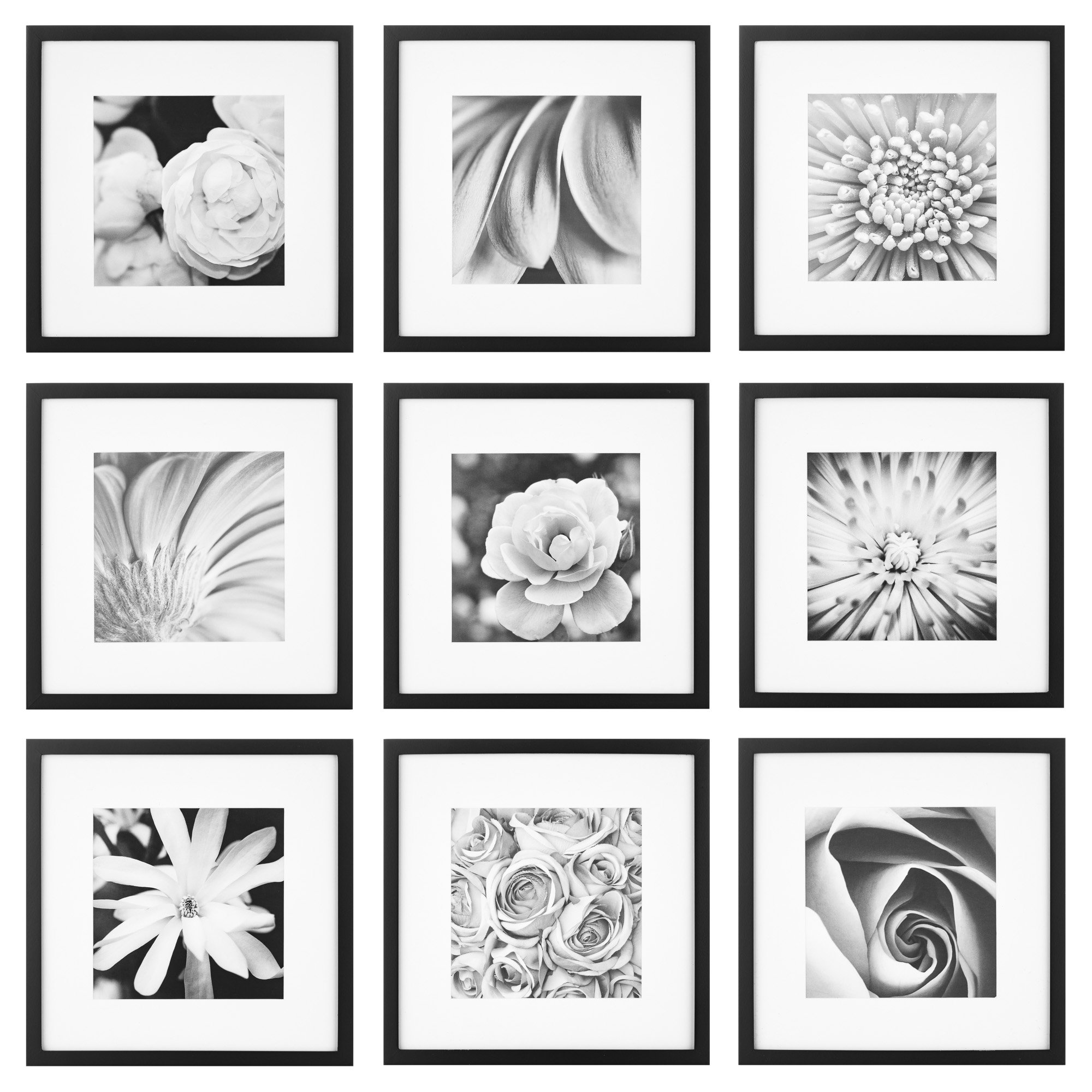 Gallery Perfect 12x12 Matted Frame Kit, 9 Piece