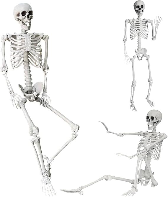 Poseable full-size skeleton with spider web set