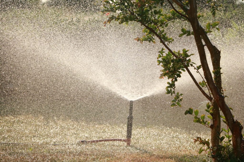 Sprinkler spraying a fine mist over a lawn next to a young tree
