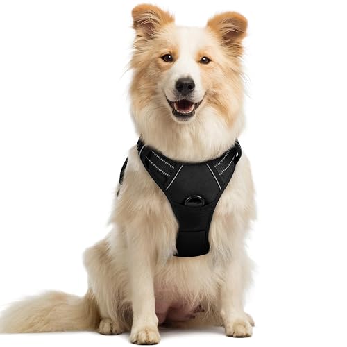 rabbitgoo No-Pull Dog Harness with 2 Leash Clips
