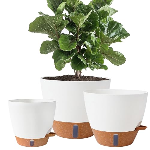 8, 10, and 12 Inch Self-Watering Pots