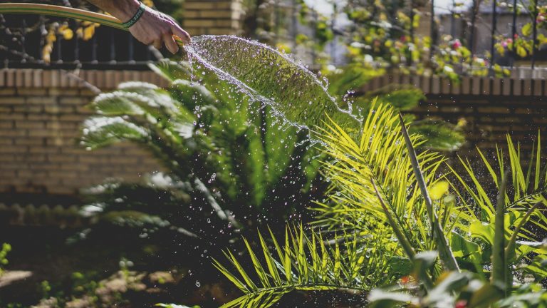 Rubber, Hybrid, Expandable, or Steel? Finding a Garden Hose That Lasts
