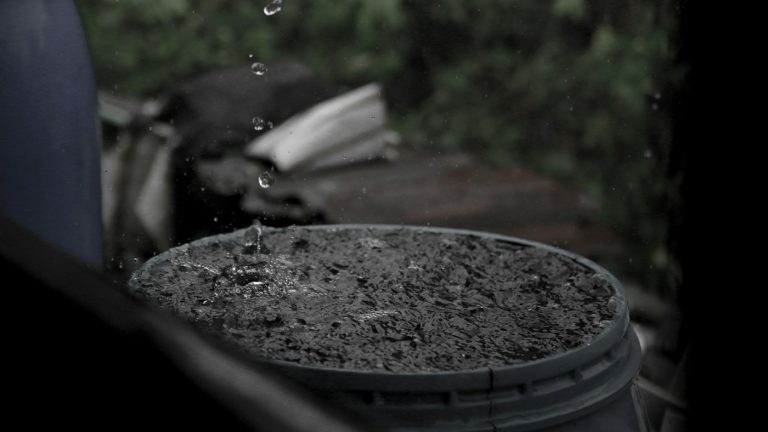 Rain Barrels for Home Gardens: Size, Setup, Diverters, and Upkeep