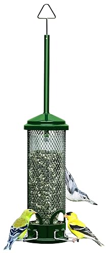 Squirrel Buster Mini Feeder