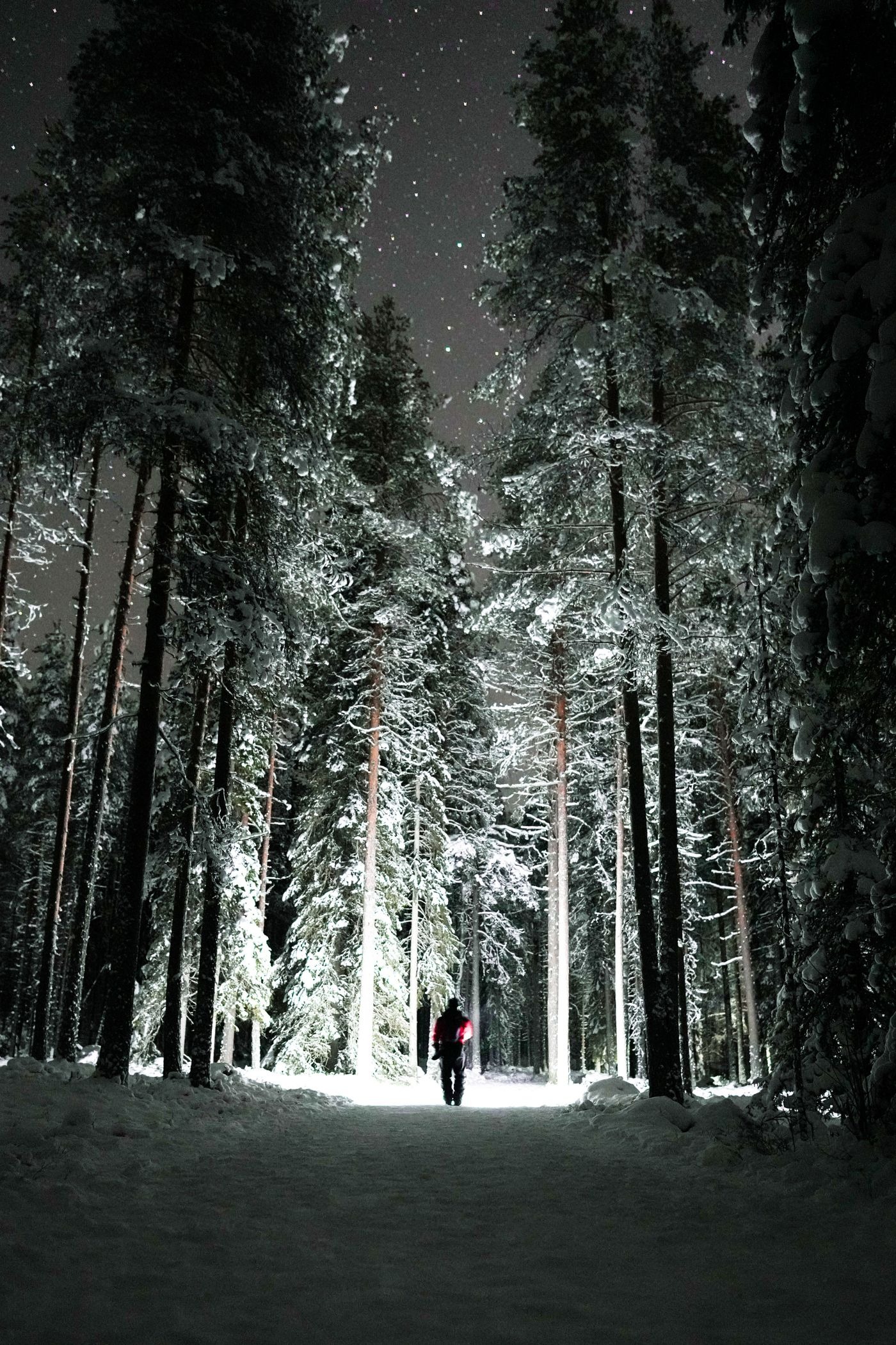 Stock photo of a person with a flashlight walking on a snowy forest path at night, not a listed product