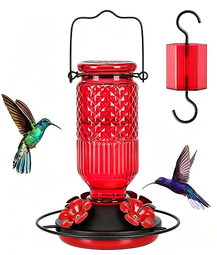 FEED GARDEN Glass Hummingbird Feeder, 16 oz