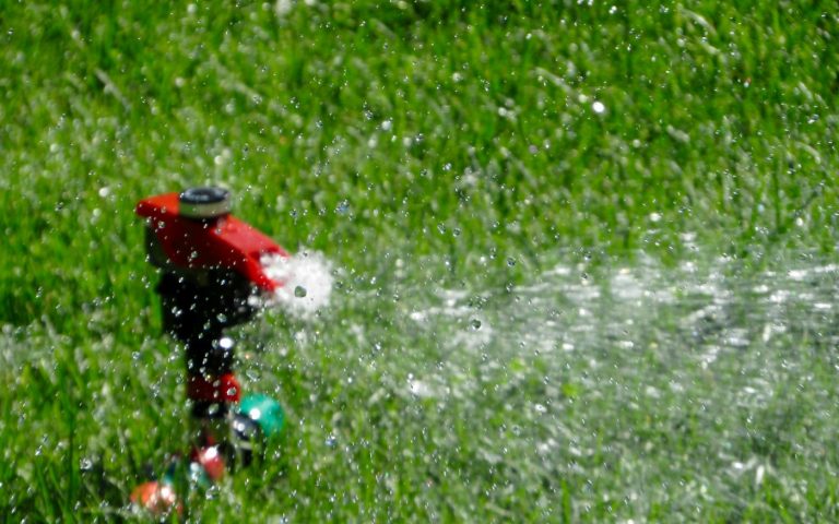 Lawn Sprinklers: Oscillating, Impact, Rotary, and Stationary Types Compared