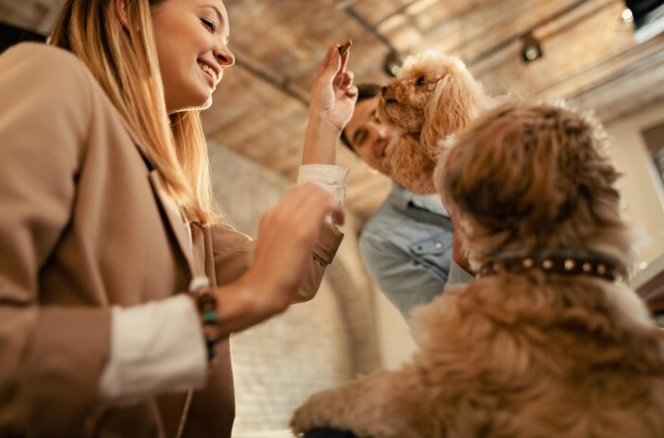 Below view of businesswoman having fun with her dog while teaching him tricks in the office