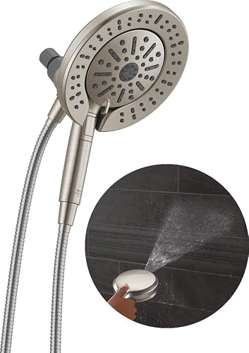 Delta In2ition 2-in-1 Dual Shower Head