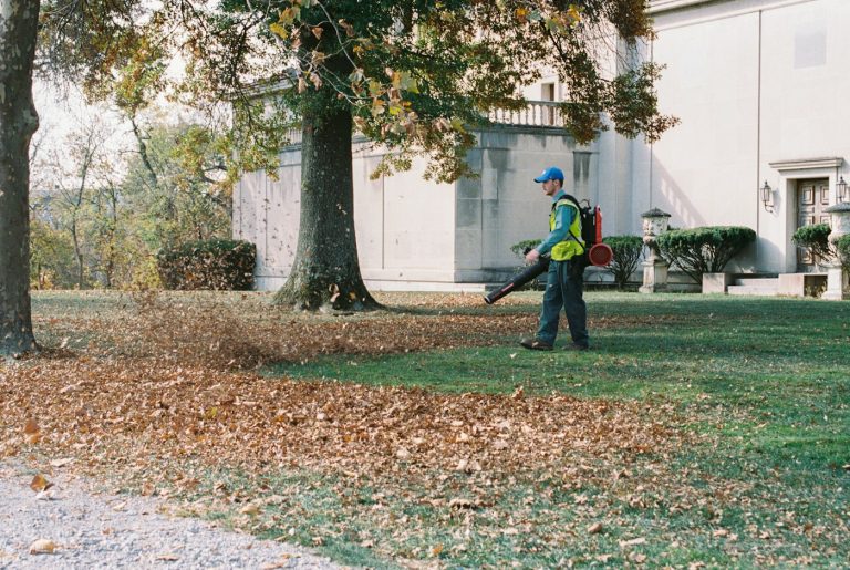Cordless Leaf Blowers for Yards, Patios, and Driveways: CFM, MPH, Batteries, and Noise