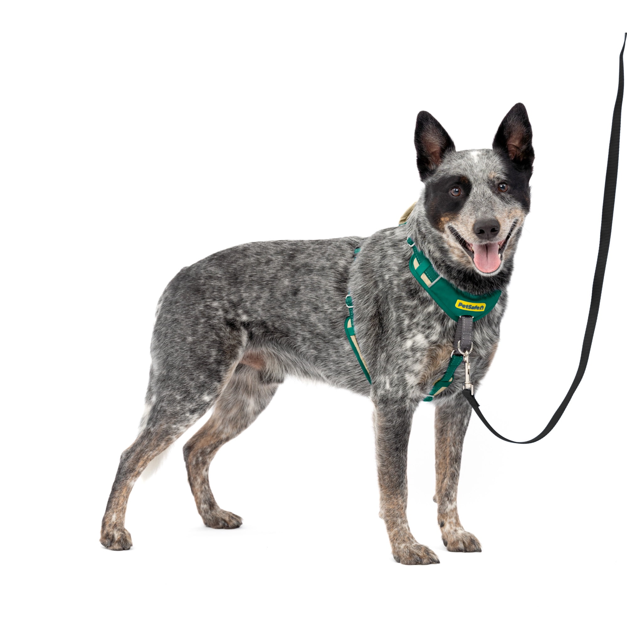 PetSafe Easy Walk Comfort No-Pull Harness