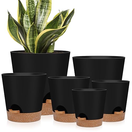 YNNICO Self-Watering Planters 6-Pack