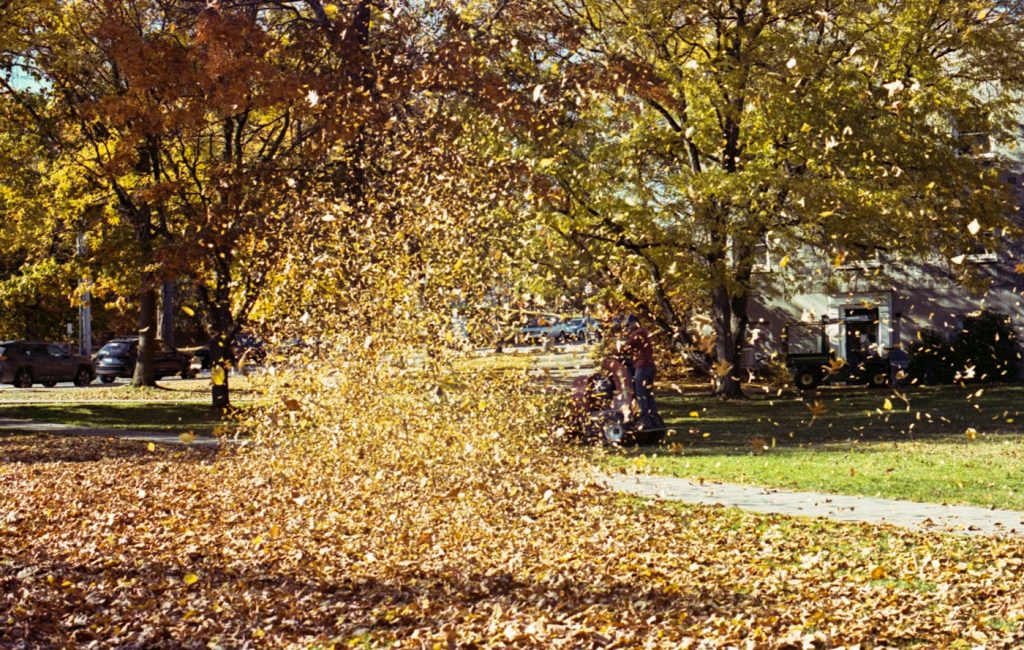 Leaves flying from a leaf blower on a lawn lined with autumn trees