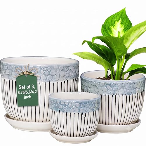 Hlukana Ceramic Plant Pots Set of 3
