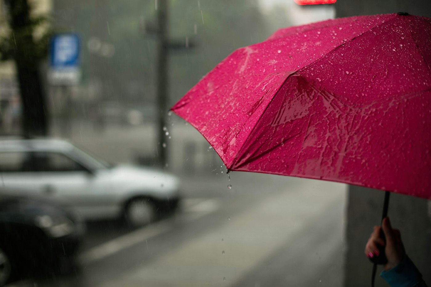 Umbrellas That Survive the Wind: Compact, Pocket, and Golf Sizes