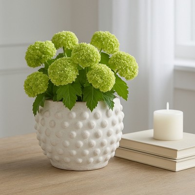 Sagebrook Home Textured Terracotta Planter