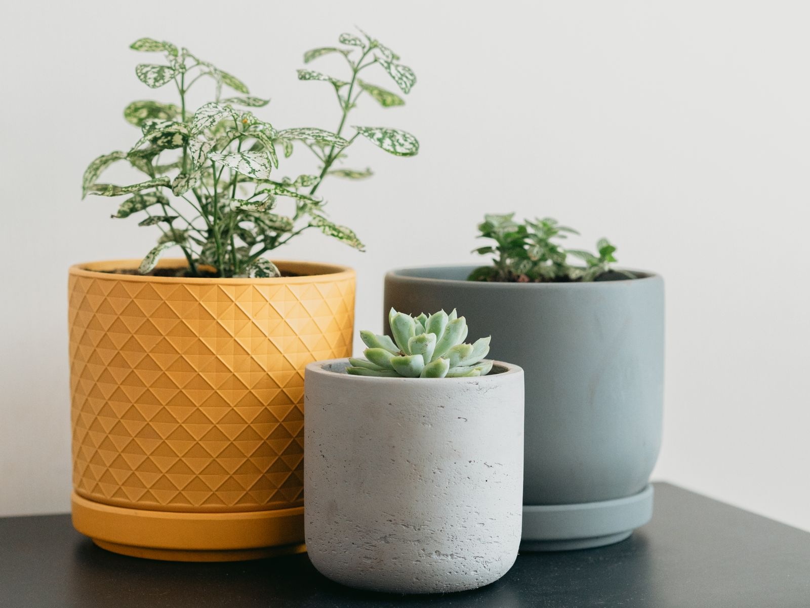 Small Plant Pots With Real Drainage: Saucers and Sizes