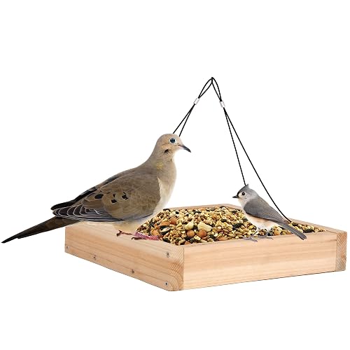 Wild Wings Cedar Hanging Tray Feeder