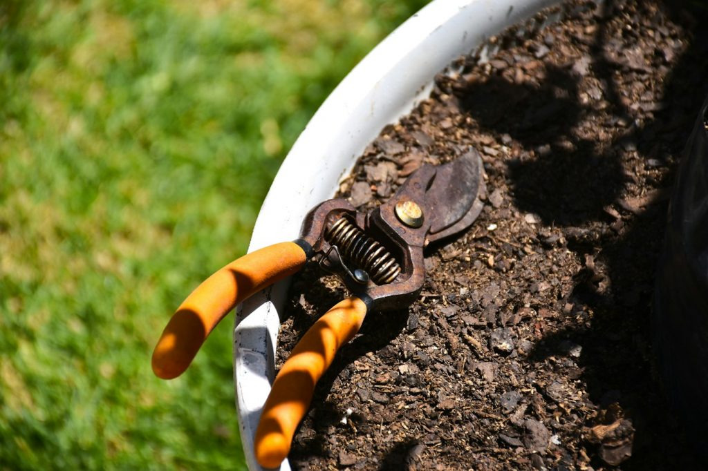 Pair of pruning shears with orange handles resting in a pot of soil
