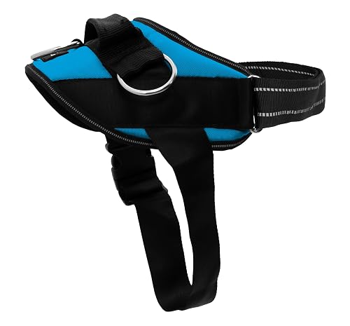 ShawnCo Essential No-Pull Dog Harness