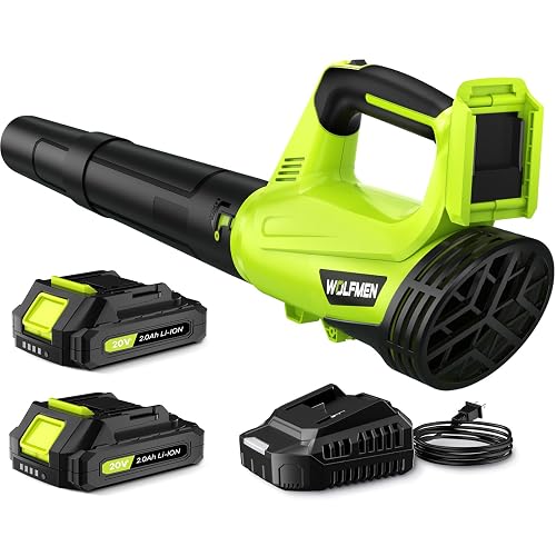 Electric Leaf Blower Cordless with 2 Batteries, 2 Speeds