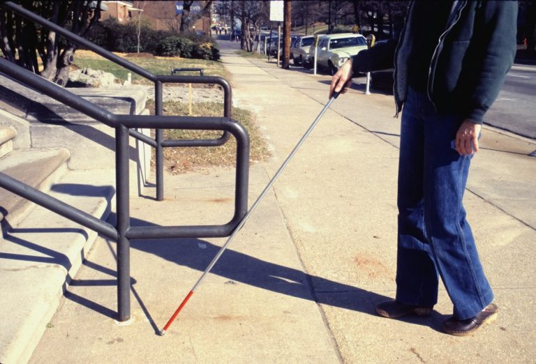 Dog Poop Bags: Thickness, Compostable Labels, and Leash Dispensers