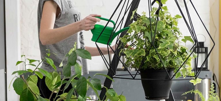 Gardening Hacks: 8 Best Side by Side Rising Plant Pairs