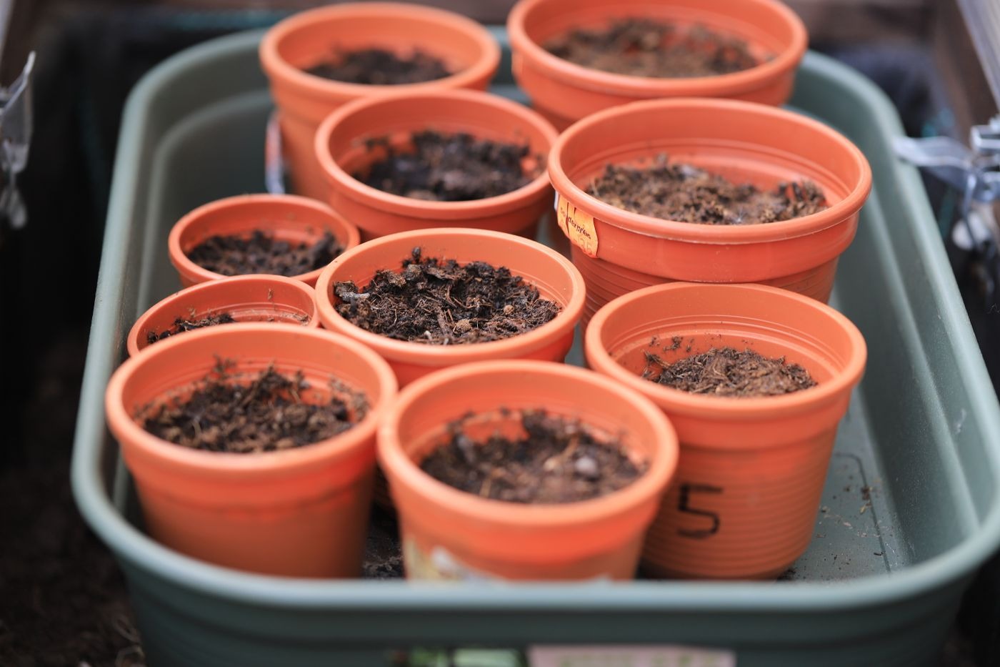 Stock photo of potted plants, not a listed product