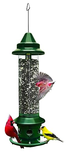 Squirrel Buster Plus Squirrel-Resistant Feeder