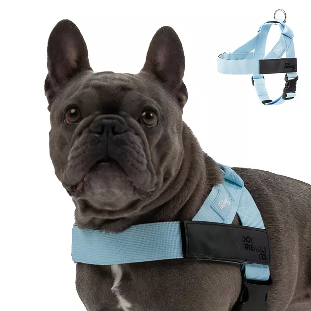 Dog Friendly Co. Dog Harness for Medium Dogs (Sky Blue, Medium)