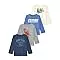 Garanimals Toddler Boy Sports Champ Long Sleeve T-Shirt, 4T, 4 Pack