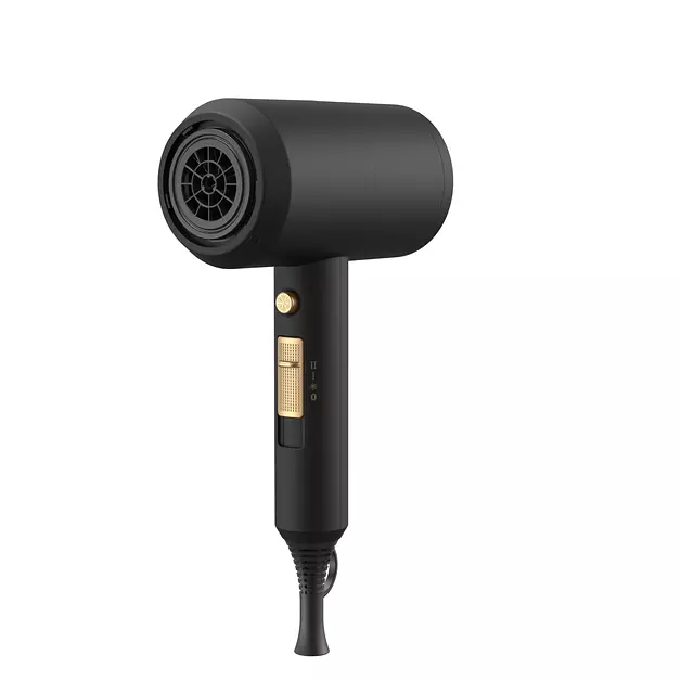 Professional Ionic Hair Dryer, 1800W Fast Drying Low Noise with 2 Concentrator Nozzles and 1 Diffuser Attachment for Home Salon Travel